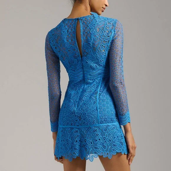 HTF By Anthropologie Sheer Lace Mini Dress